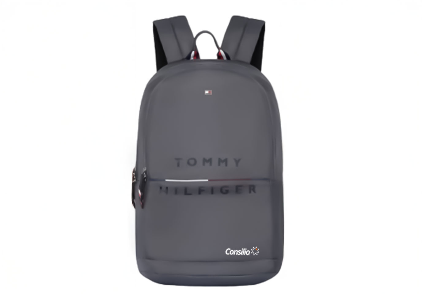 TOMMY HILFIGER  Large 34 L Laptop Backpack Montreal  (Grey)