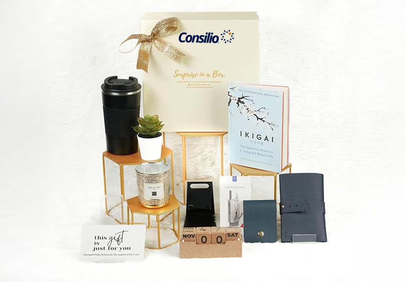 Work Desk Gift Hamper for Professionals – Ideal Corporate Gift for Men & Women | Work Desk Wellness – Eco-friendly Gift